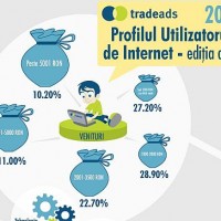 Profilul utilizatorului de Internet